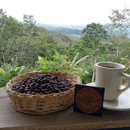 Hotel Green Mountain Turrialba Dış mekan fotoğraf