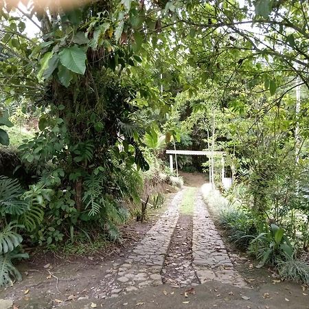 Hotel Green Mountain Turrialba Dış mekan fotoğraf