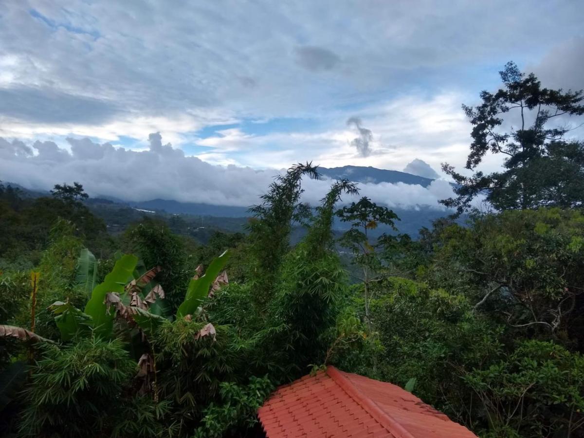 Hotel Green Mountain Turrialba Dış mekan fotoğraf