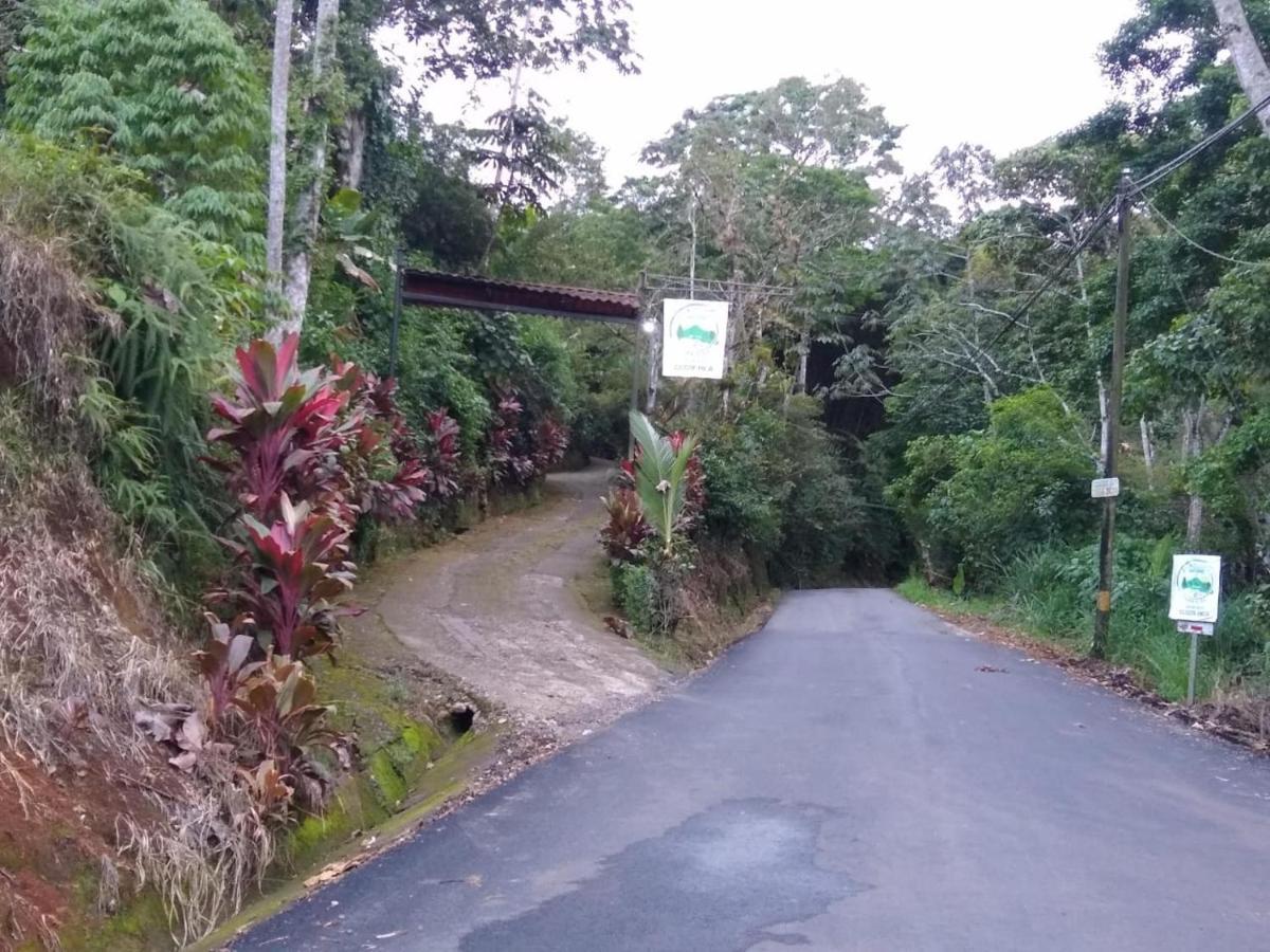 Hotel Green Mountain Turrialba Dış mekan fotoğraf
