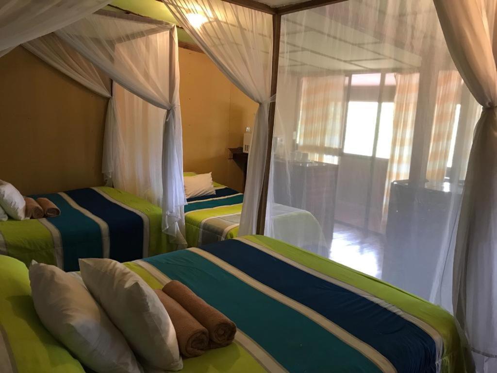 Hotel Green Mountain Turrialba Dış mekan fotoğraf