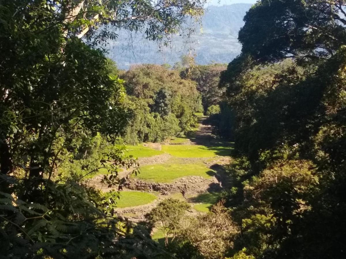 Hotel Green Mountain Turrialba Dış mekan fotoğraf