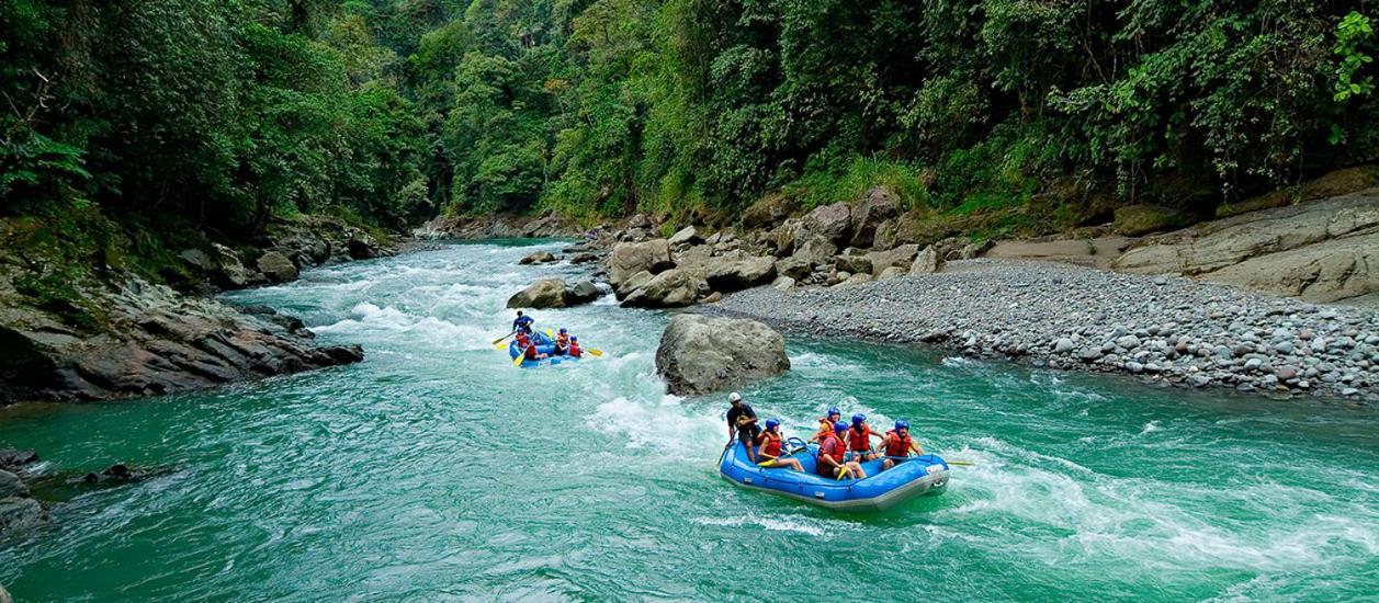 Hotel Green Mountain Turrialba Dış mekan fotoğraf