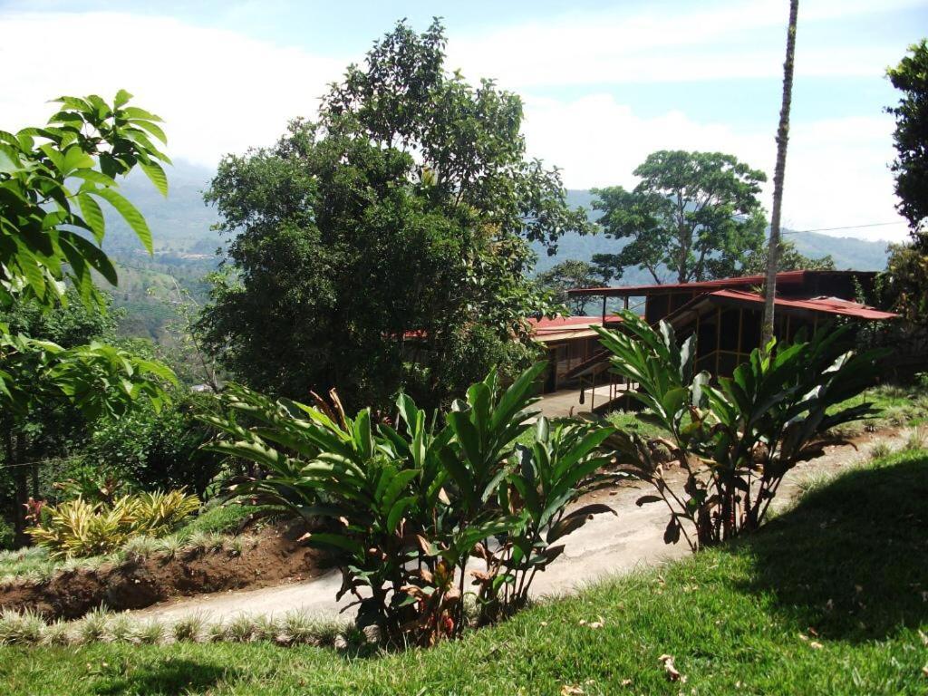 Hotel Green Mountain Turrialba Dış mekan fotoğraf
