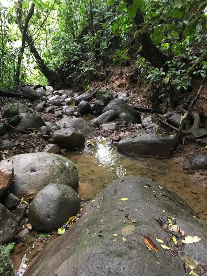 Hotel Green Mountain Turrialba Dış mekan fotoğraf