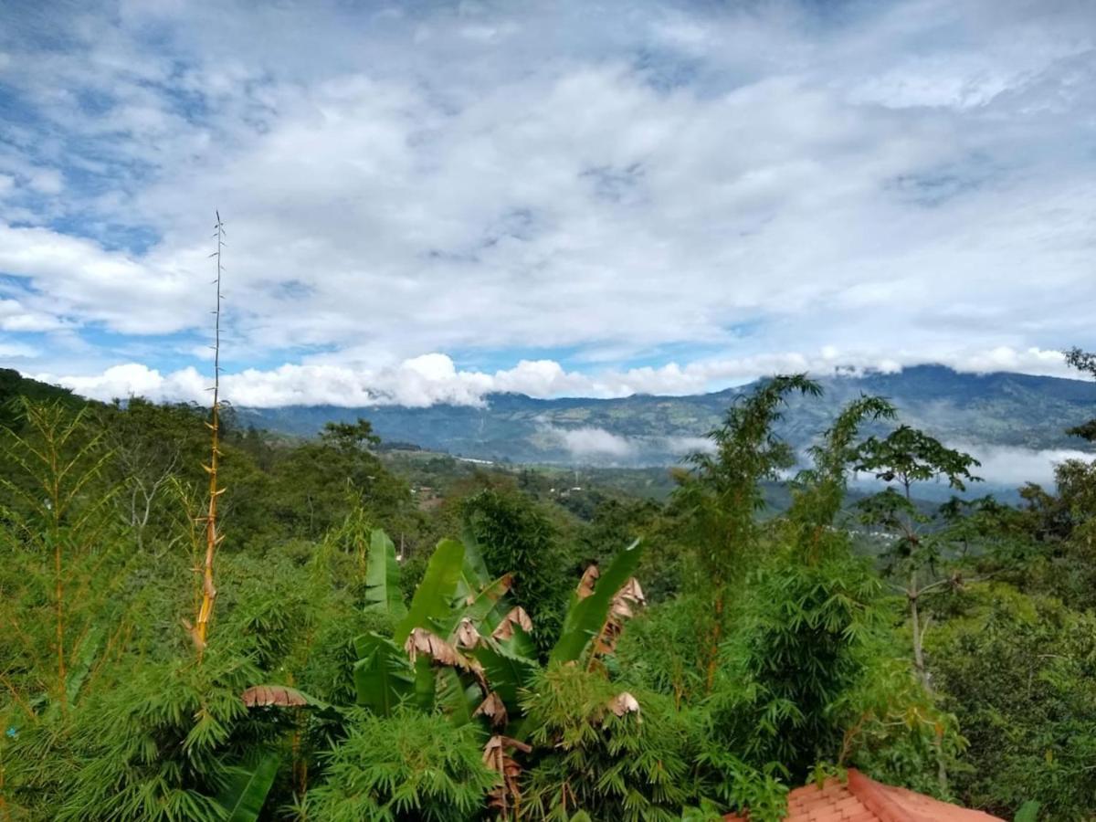 Hotel Green Mountain Turrialba Dış mekan fotoğraf