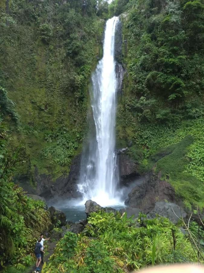 Hotel Green Mountain Turrialba Dış mekan fotoğraf