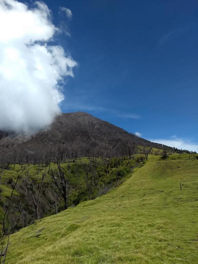 Hotel Green Mountain Turrialba Dış mekan fotoğraf