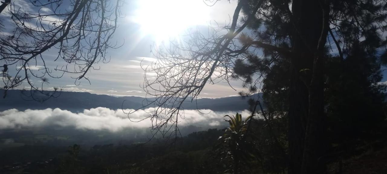 Hotel Green Mountain Turrialba Dış mekan fotoğraf