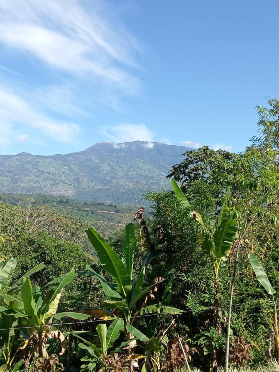 Hotel Green Mountain Turrialba Dış mekan fotoğraf