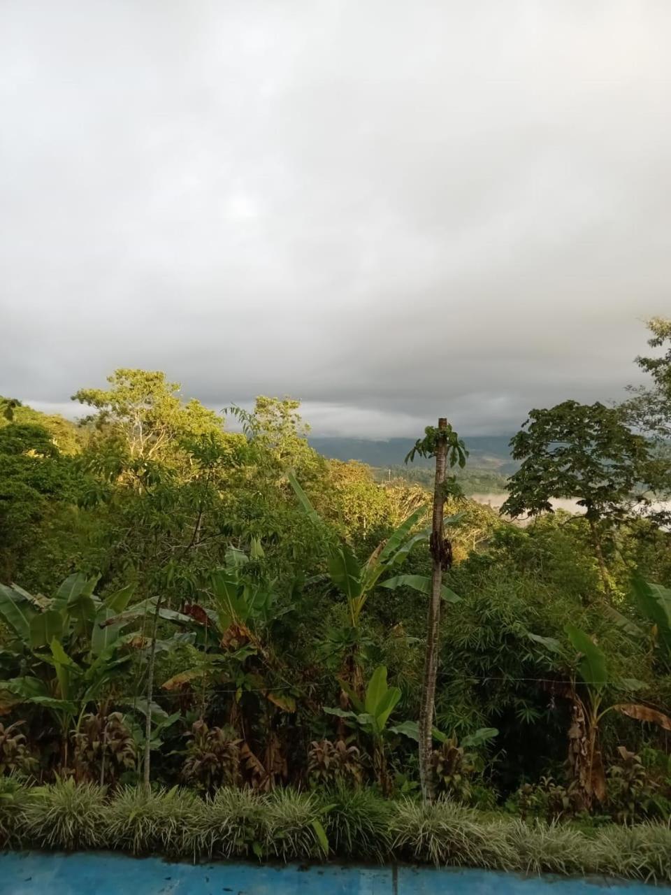 Hotel Green Mountain Turrialba Dış mekan fotoğraf