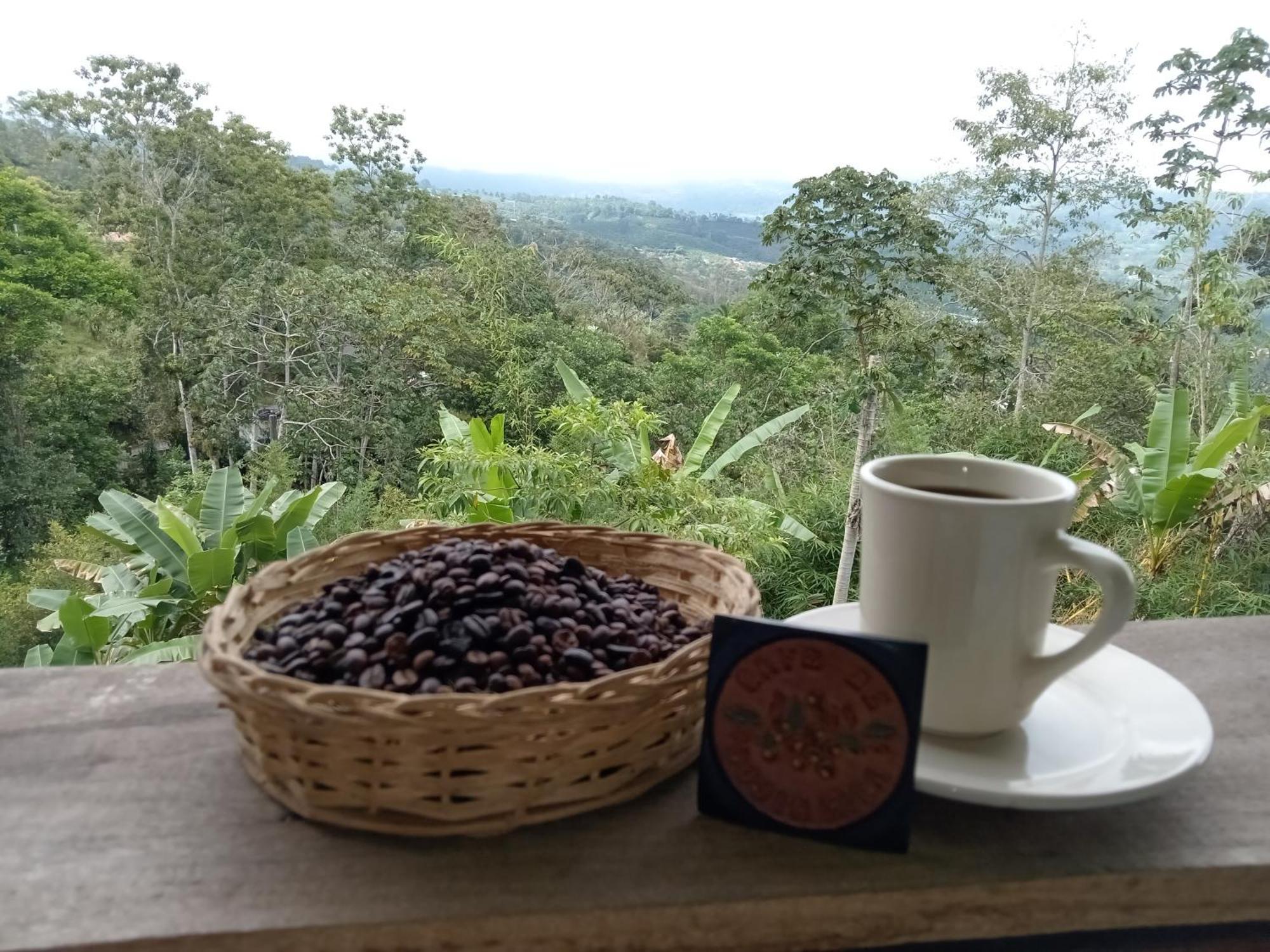 Hotel Green Mountain Turrialba Dış mekan fotoğraf