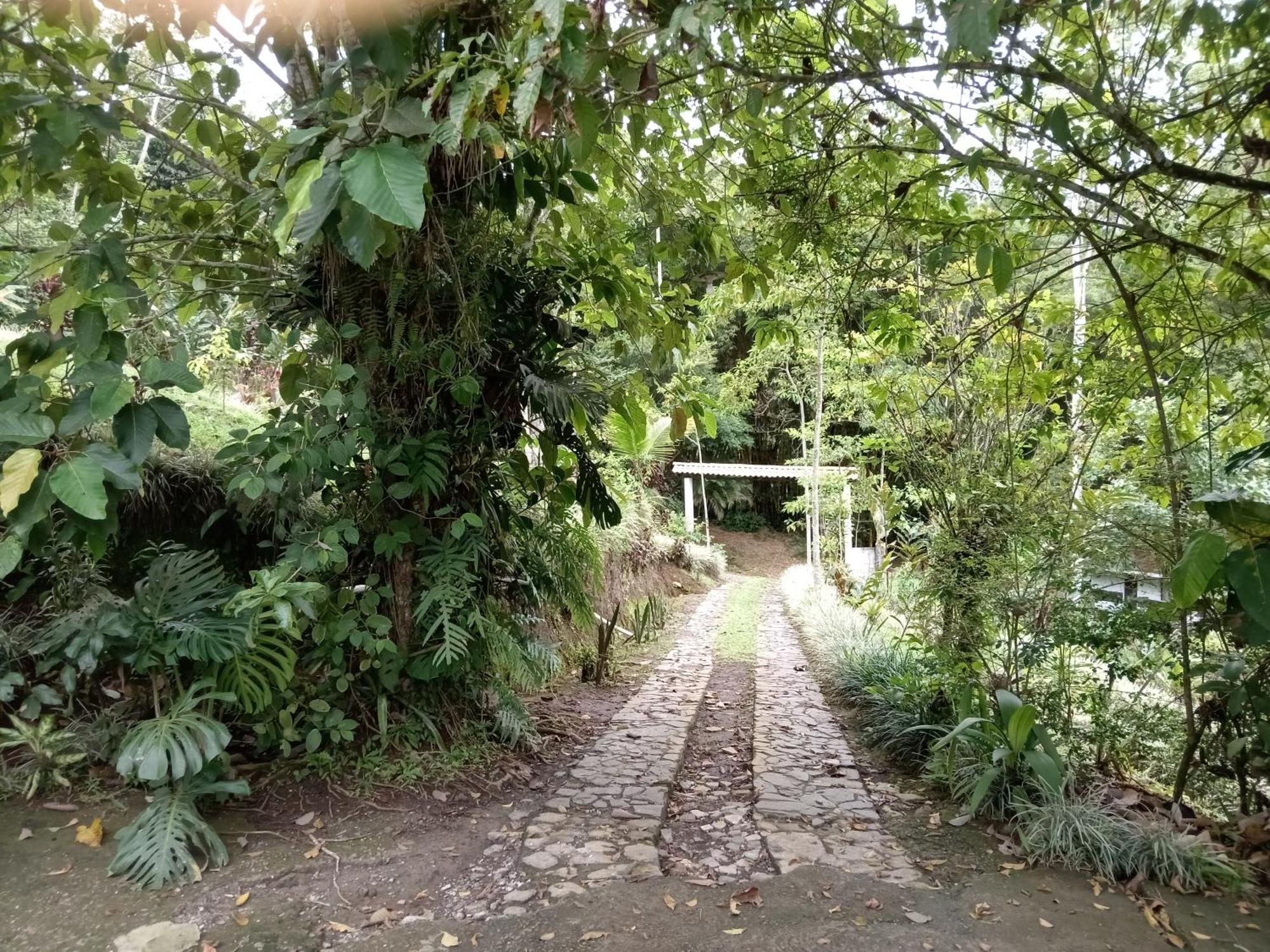 Hotel Green Mountain Turrialba Dış mekan fotoğraf