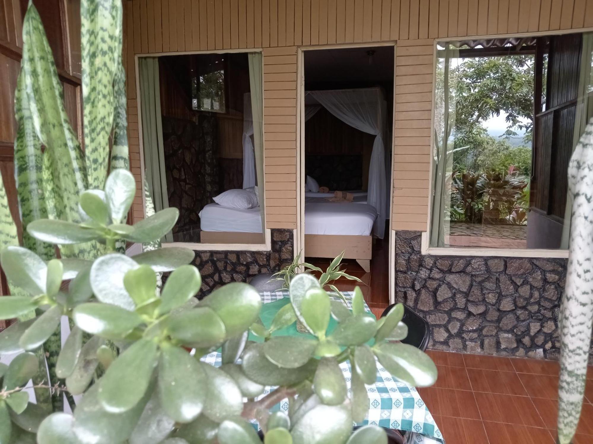 Hotel Green Mountain Turrialba Dış mekan fotoğraf