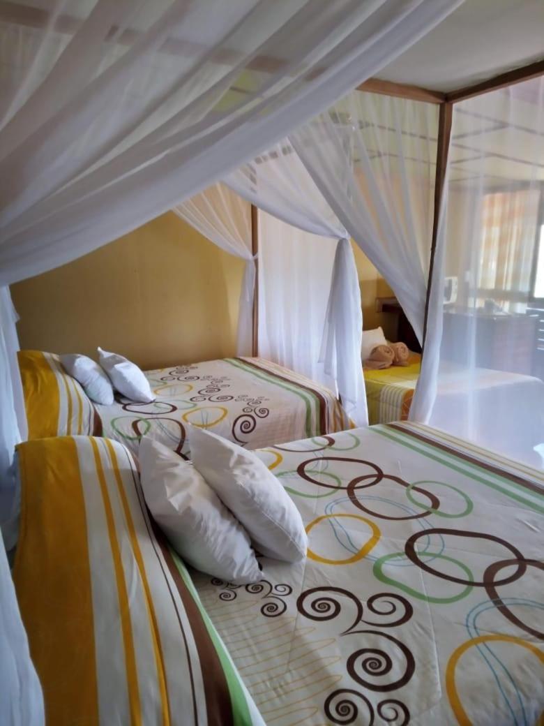Hotel Green Mountain Turrialba Dış mekan fotoğraf