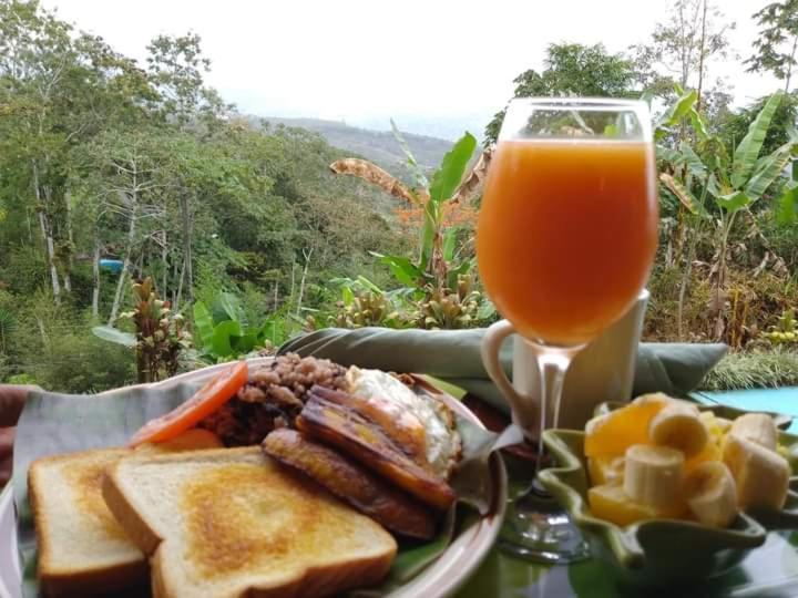 Hotel Green Mountain Turrialba Dış mekan fotoğraf