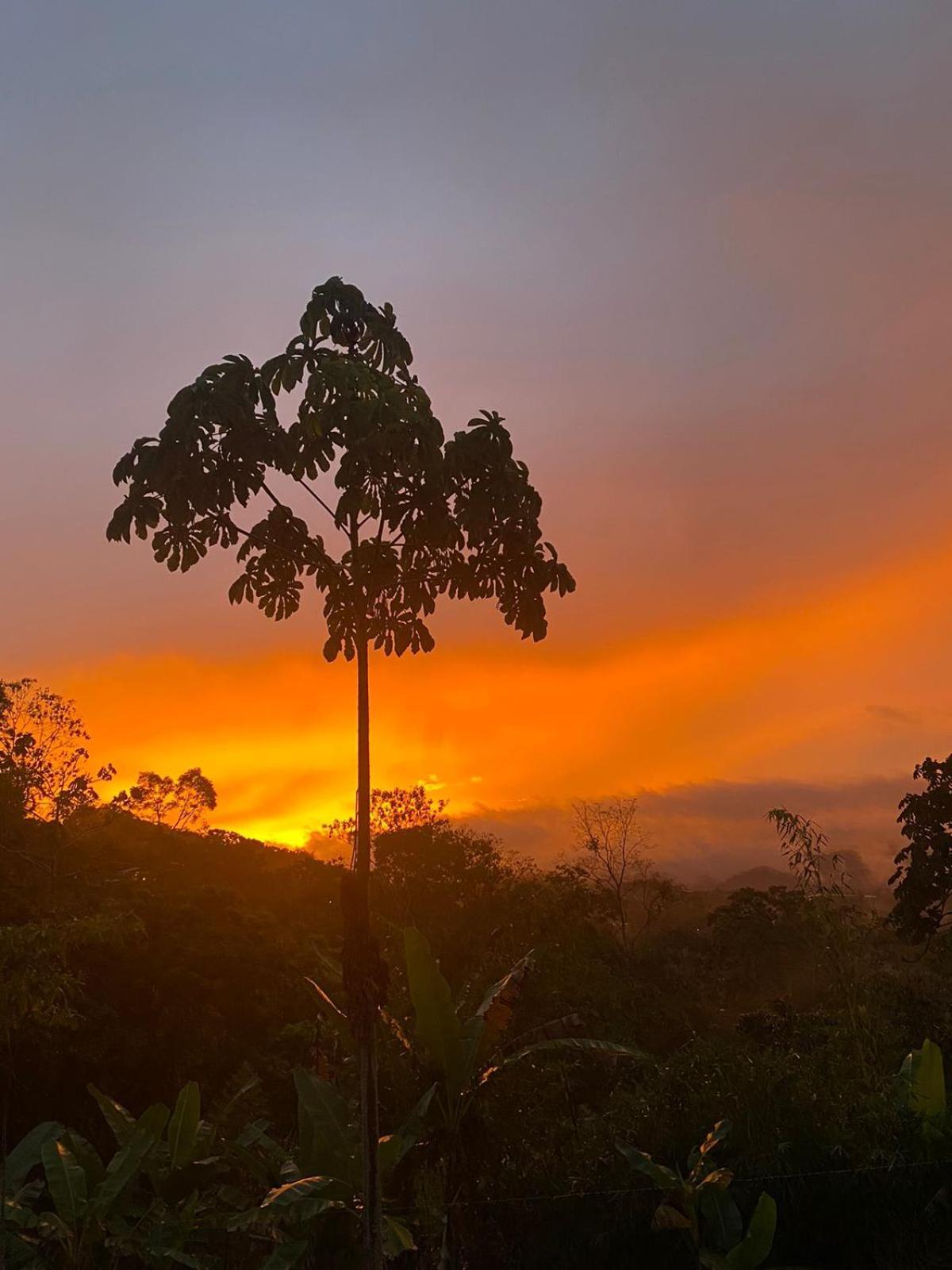 Hotel Green Mountain Turrialba Dış mekan fotoğraf