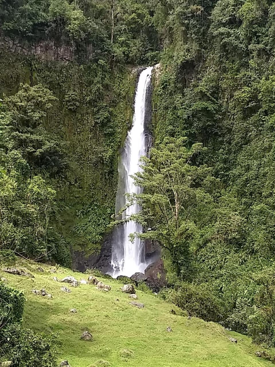 Hotel Green Mountain Turrialba Dış mekan fotoğraf