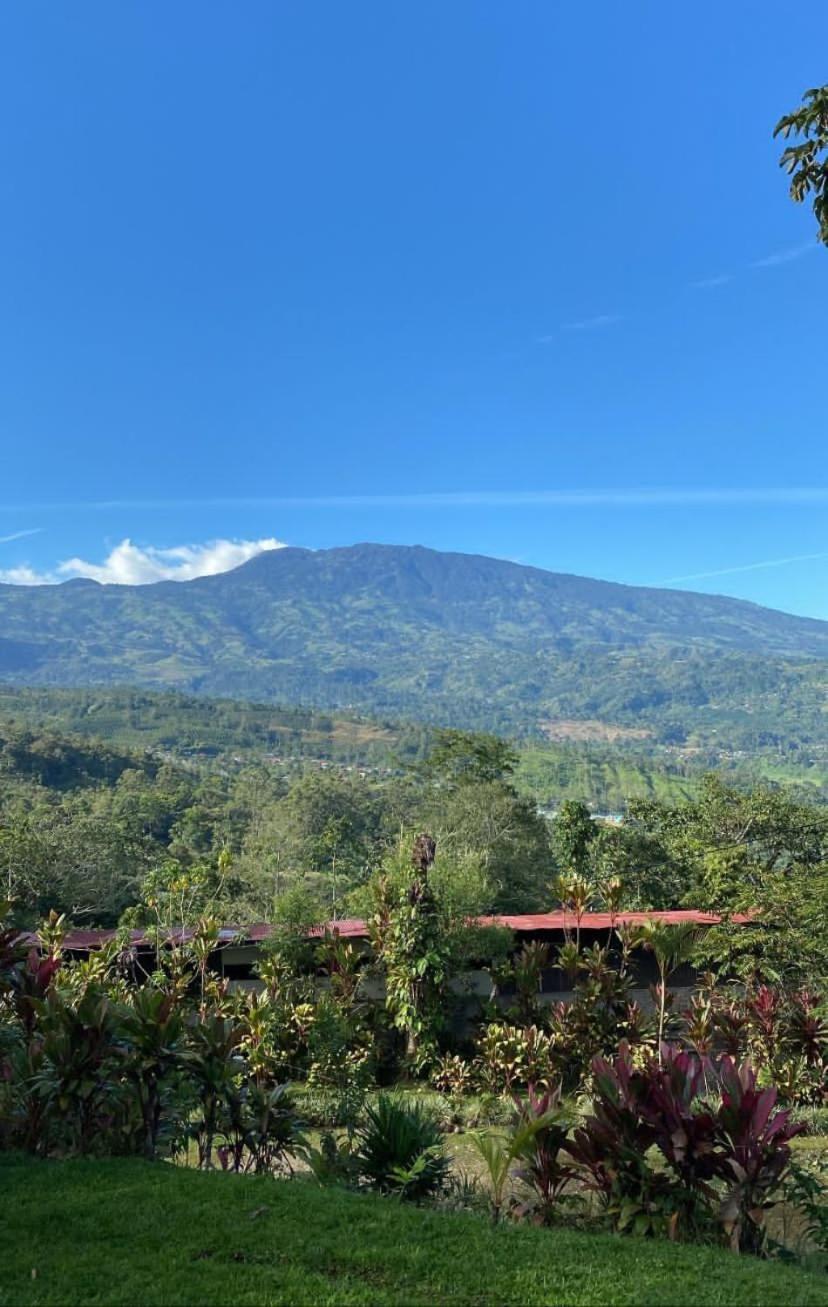 Hotel Green Mountain Turrialba Dış mekan fotoğraf